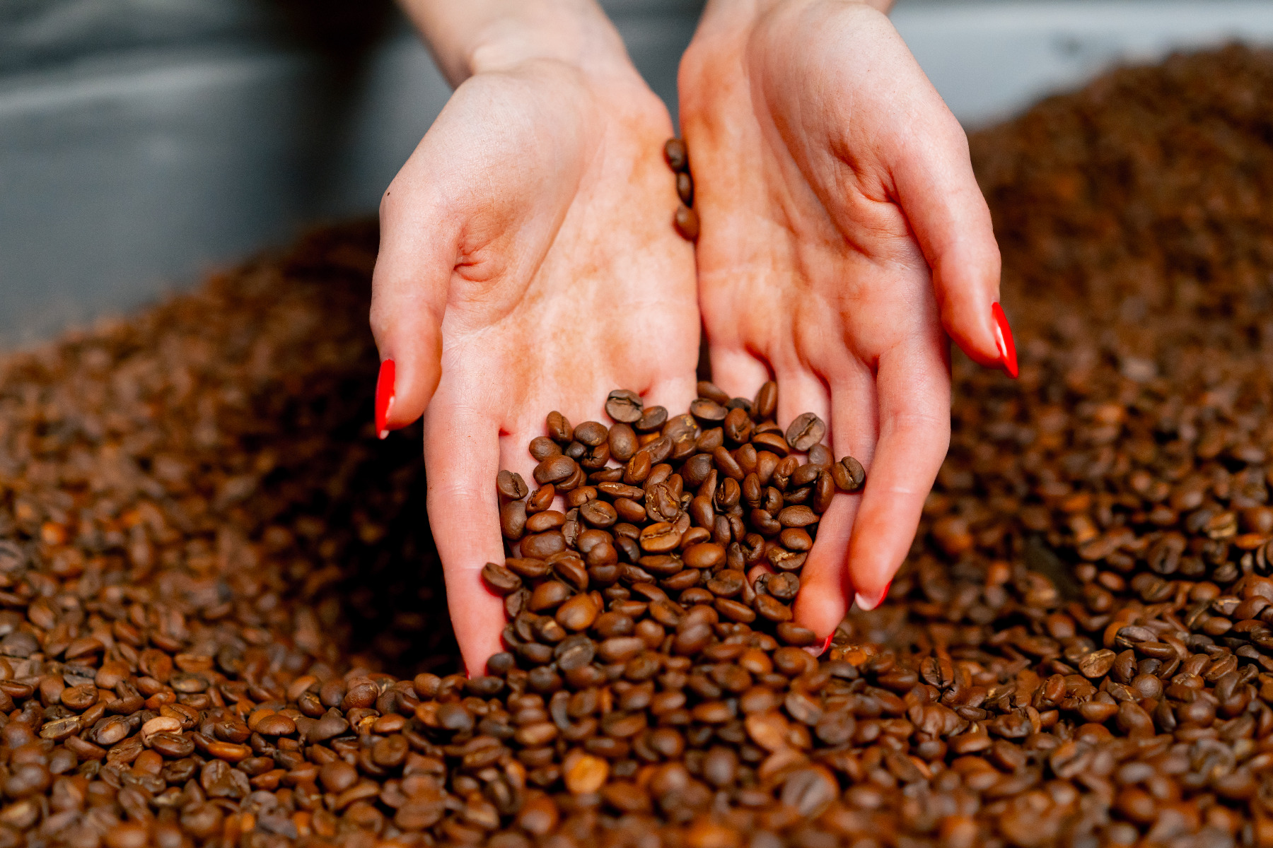 Betrouwbare koffiepartner in heel Nederland én daarbuiten